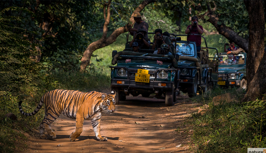 Pilgrimage, Leisure and Wild Life tour
