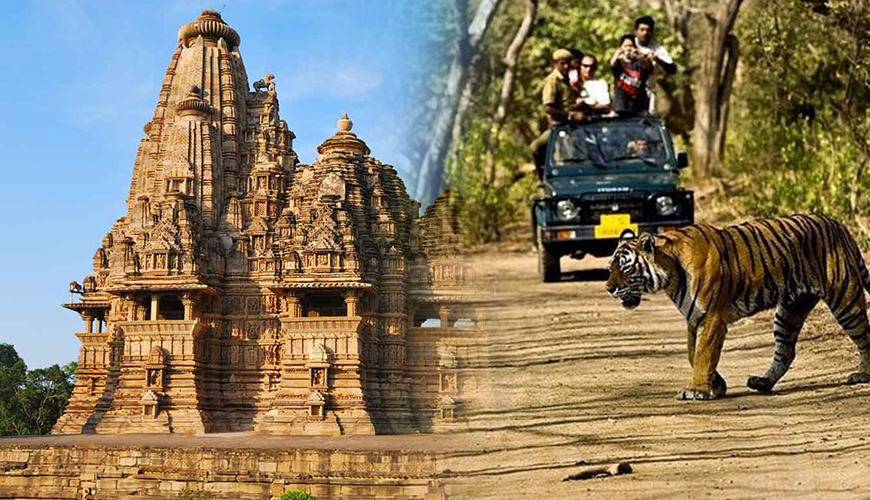 Wildlife and Heritage Tour